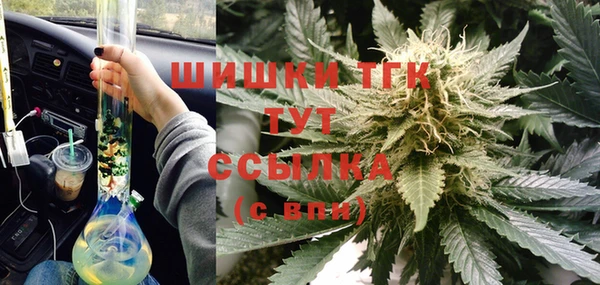 спайс Корсаков