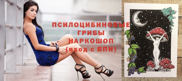 спайс Корсаков