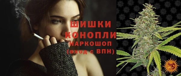 спайс Корсаков